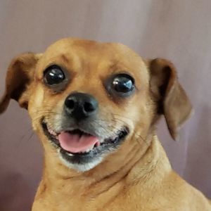 Meet your Posher, William